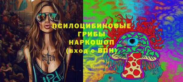 дживик Баксан