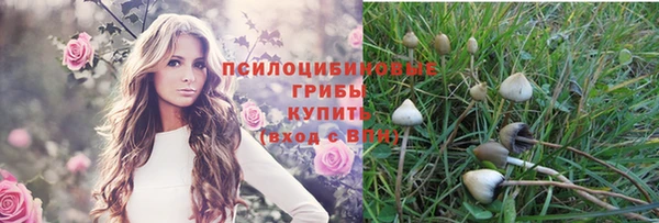 а пвп мука Балахна