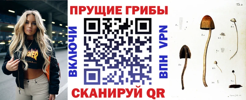 купить  цена  Высоцк  Псилоцибиновые грибы мухоморы 